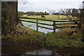 Flooded fields near Gayton