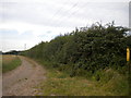 Field edge path near Woodhouse