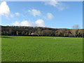 Alfriston Recreation Ground