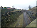 Railway cutting, Paddock