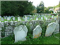 St Laurence, Upwey: churchyard (8)