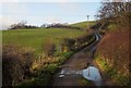 Track to Lodge Farm