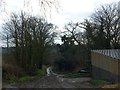 Below Chapelhayes farm