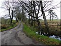 Lane, Attaghmore