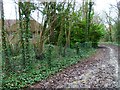 The bridleway reaches the Arundel & District Community Hospital (1)