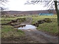 Ford crossing the Eglingham Burn