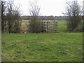 Path going across footbridge to Wanborough Marsh