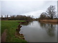 Iford: the Stour and Iford Meadows