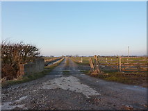 SD4354 : Road to Clarkson's Farm by Alexander P Kapp