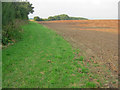 Arable land at Muskham Woodhouse Farm