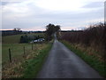NZ3810 : Lane towards Newsham Grange by JThomas
