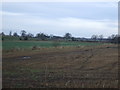 Farmland near Middleton St.George