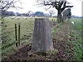 Edenholme Trig Point