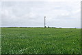 SX8043 : Wheat field, Coleridge Cross by N Chadwick