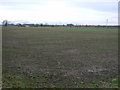 Farmland of Mill Lane