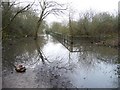 Flooding on The Lines, north of Brigshaw Lane