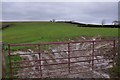 Mid Devon : Field Entrance