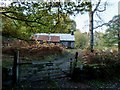 Finglen, south Loch Earn