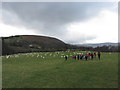 A field of sheep and ramblers near Rhiwiau