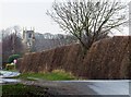 Coniston Lane, Swine, Yorkshire