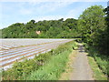 On River Ayr Way, W of Catrine - View northwest