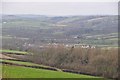 Mid Devon : Grassy Countryside