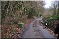 Mid Devon : Country Lane