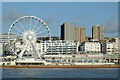 TQ3103 : Brighton seafront with ferris wheel by Roger  D Kidd
