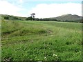 Grassland, Lawers