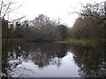 Scio Pond, Putney Heath