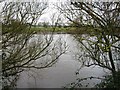 River Severn, Stonebench