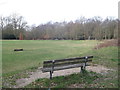 Seating, Putney Heath