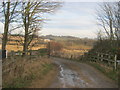 Footpath leading from the Lanchester Valley Railway Walk