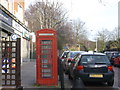 Telephone Box, Putney Heath