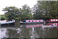 Narrowboat, Lea Navigation