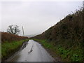 Country Lane at The Common