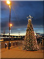 SJ3563 : The Christmas tree at Broughton Shopping Centre by John S Turner