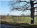 Fly-tippers beware. You are being watched