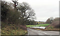 Flooded fields by B4367