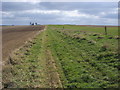 Path heading to Gore Lane