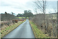 Minor road near Culloch