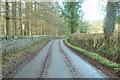 Minor road at Rossie Den