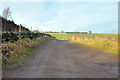 Farm road to Binn