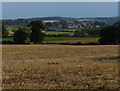 Rutland countryside near Edith Weston