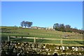 Equestrian Centre at Swarcliffe Top