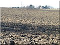 Ploughed field east of Hollinthorpe Farm