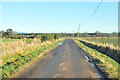 Minor road near Edzell