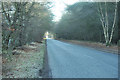 Road past Edzell Woods