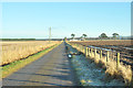 Minor road near Luthermuir