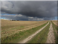 Dale Road (track) leading up to Arras Wold near Sancton